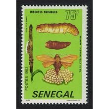 Senegal 'Rhaguva albipunctella' Harmful Insect 1982 MNH SG#748 MI#767