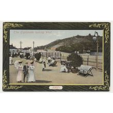 JERSEY The Esplanade looking West. early 20th C. RPPC J Welch 3518