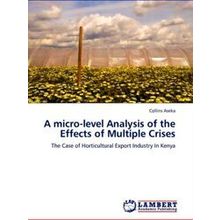 A Micro-Level Analysis of the Effects of Multiple Crises