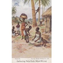 Life In Africa An African Village Palm Nut Nuts Trees Antique Oilette Postcard