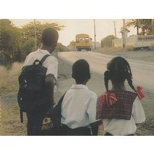 African Children At Lorry Coach in Curacao Holland Postcard