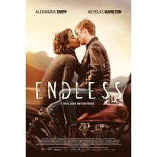 Endless (2020)_2 Movie Film Poster Canvas iconic design