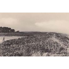 Sizewell From The Mountain Hills Antique Aerial Suffolk Real Photo Postcard