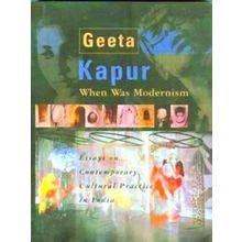 When Was Modernism - Essays On Contemporary Cultural Practice In India