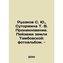Rudakov S. Yu., Sutormina T. V. Penetration. Landscapes of Tambov land: photo