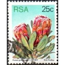 South Africa. 1977. 25c Value. Protea Grandicepa Fine Used