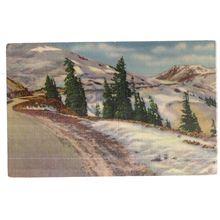 TIMBERLINE IN THE ROCKIES , Canadian Rockies. vintage unused postcard. #