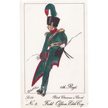 Polish Chasseurs 1810 4th Regiment Field Officer Soldier Napoleonic War Postcard