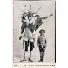 South Africa Little Tom Thumb Antique Mannekin Dwarf Postcard