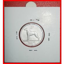 Ⰶ GREAT BRITAIN (1942-1969):IRELAND★6 PENCE 1961 DOG★HOLDER★LOW START★NO RESERVE