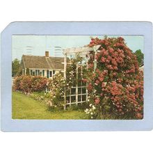 MA Cape Cod Cape Cod Cottage & Roses ma_box2~683