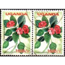 Uganda. 1600/= Value. Impatiens Wallediara . Fine Used Pair
