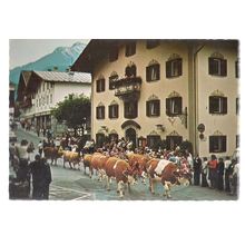 COW FESTIVAL, HOTEL NEUE POST, INNSBRUCK. ,unused vintage postcard