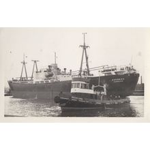 Nordwind German Hamburg Ship Vintage Rare Photo