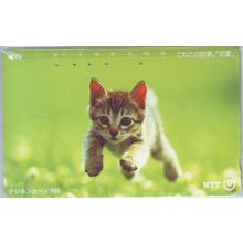 Kitten Leaping Japan NTT Phone Card