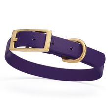 Dog Pet Collar with Brass Hardware Size S W 5/8” L 12” - 15” Violet Purple