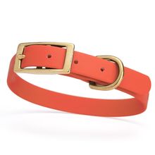 Dog Pet Collar with Brass Hardware Size S W 5/8” L 12” - 15” Coral