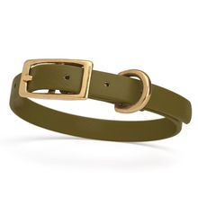Dog Pet Collar with Brass Hardware Size XS W 1/2” L 9” - 12” Olive Drab Green