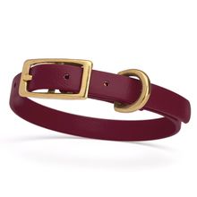 Dog Pet Collar with Brass Hardware Size XS W 1/2” L 9” - 12” Merlot Burgundy