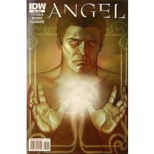 Angel: After the Fall # 039 NM MODERN AGE COMICS