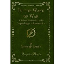 In the Wake of War: A Tale of the South, Under Carpet-Bagger Administration