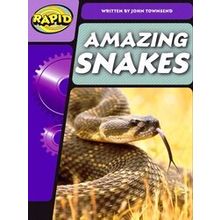 Rapid Rapid Phonics Step 3: Super Snakes (Non-Fiction) - John Townsend