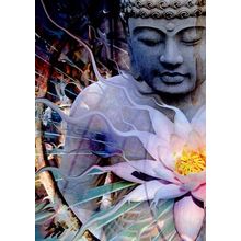 Living Radiance - Tree Free Greeting Card - 14121