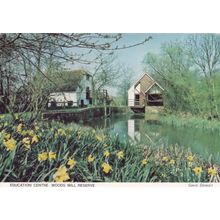Education Centre Woods Mill Reserve Sussex Wildlife Trust Postcard