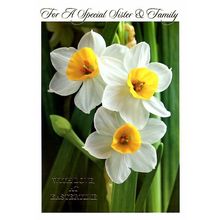 For A Special Sister & Family - 23010
