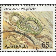 AUSTRALIA, REPTILE, Yellow-faced Whip Snake, yellow 1984, 65c