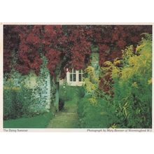 Wormingford Essex The Dying Summer Cottage Postcard