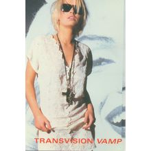 Transvision Vamp Stunning Postcard