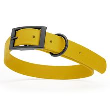 Dog Pet Waterproof Collar - W1" x L18"-22" - Treasure Gold