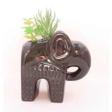 Ceramic Black Elephant Figurine/Ornament 13 CM with Faux Plastic Plants Gift