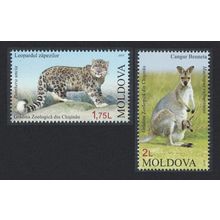 Moldova Snow Leopard Wallaby Chisinau Zoo 2v 2013 MNH SG#814-815