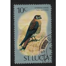 St. Lucia American kestrel Sparrow Hawk Bird 10c 1976 Canc SG#421