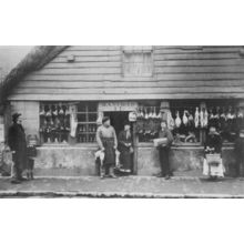 Poultry Bird Store Ex Dumplings Bakery High Street Littlehampton Sussex Postcard