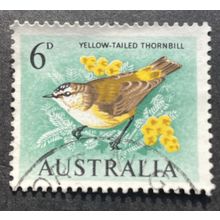AUSTRALIA 1964 SG 0363 USED #1