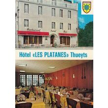 Hotel Restaurant Les Platanes Thueyts France 1970s Postcard