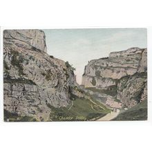 Cheddar Valley Somerset Postcard 2881