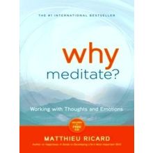 Why Meditate