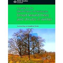 A Guide To The Identification Of Deciduous Broad - Leaved Trees And Shrubs In Wi