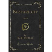Birthright: A Novel (Classic Reprint)