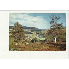 Aberdeenshire ROYAL DEESIDE Postcard by J. Arthur Dixon (3557)