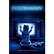 POLTERGEIST (1982) 2 Poster Canvas Movie Film Print A0 A1 A2 A3 A4 A5 A6 Art Wal