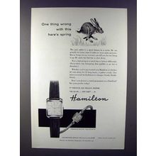 1955 Hamilton Francine, Halesworth Watch Ad - Hare