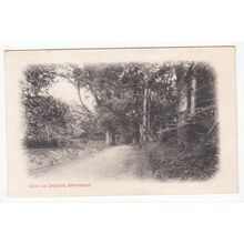 The Road to Cobham Gravesend Postcard Kent