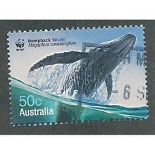 AUS 2006 50c 'WHALES' FINE USED (EBID34-517)