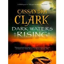 A Hildegard of Meaux medieval mystery: Dark Waters Rising