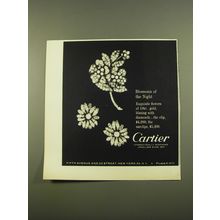 1961 Cartier Clip and ear-clips Advertisement - Blossoms of the night